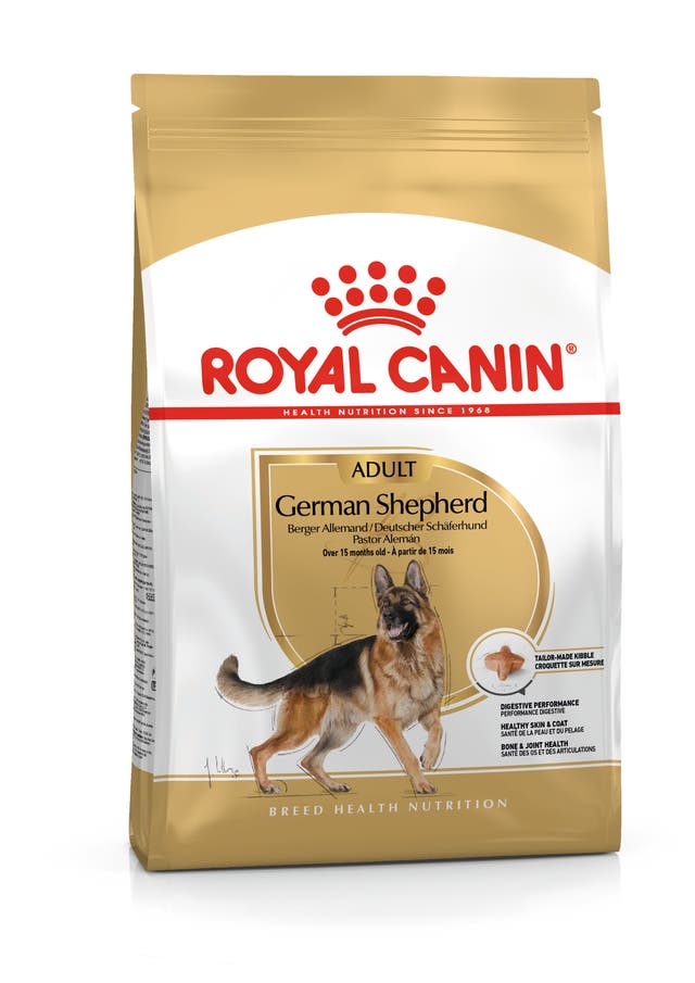 R C ADULT GERMAN SHEPARD 11KG