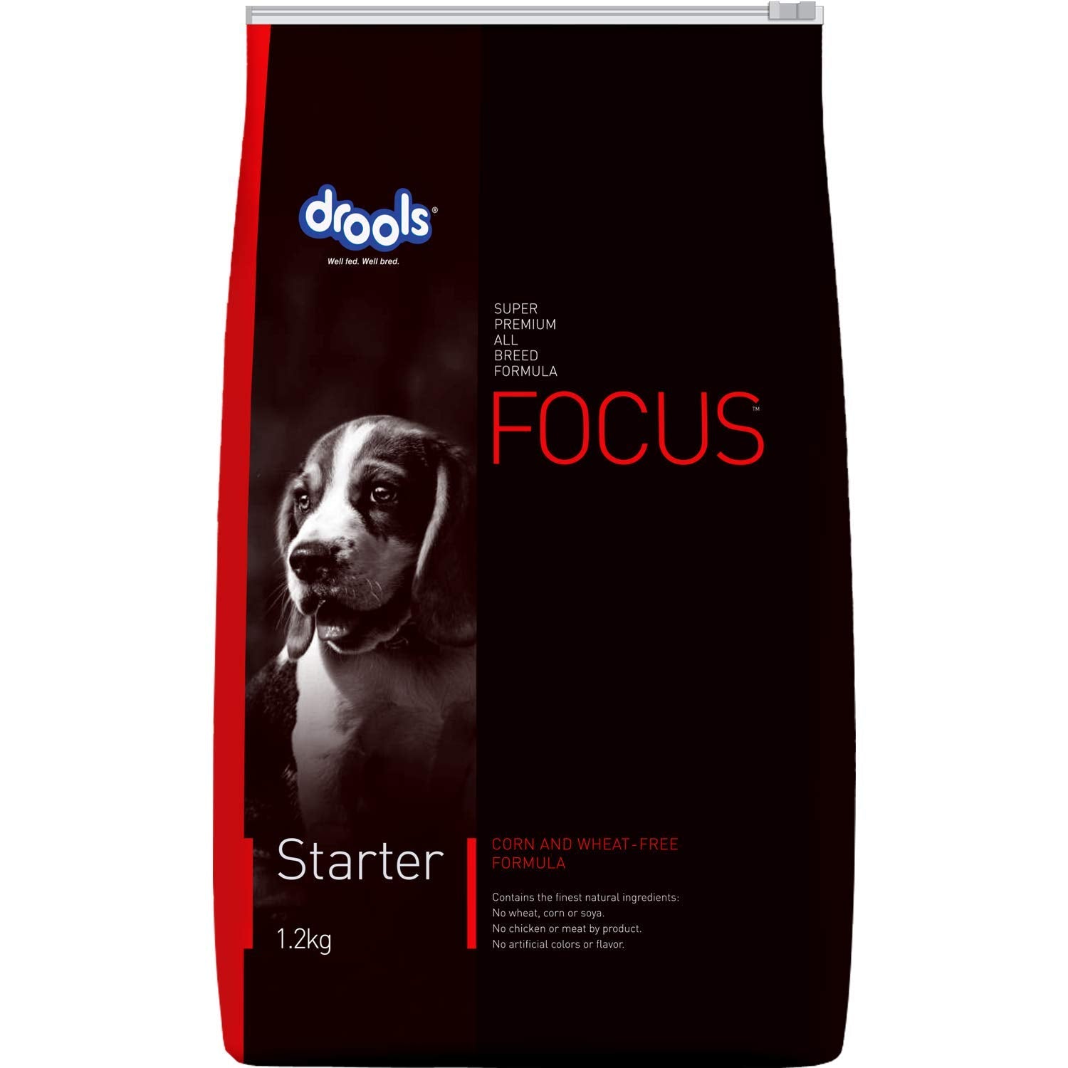 DROOLS FOCUS STARTER 4KG