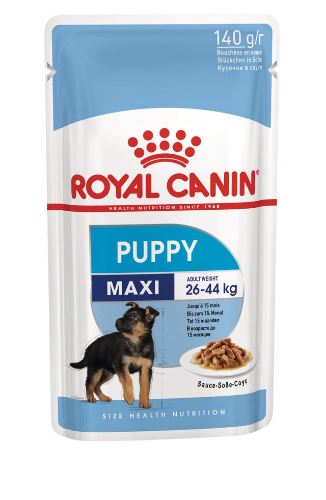 R C MAXI PUPPY 10*140GM