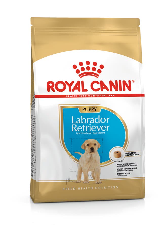 R C LABRADOR PUPPY 12KG