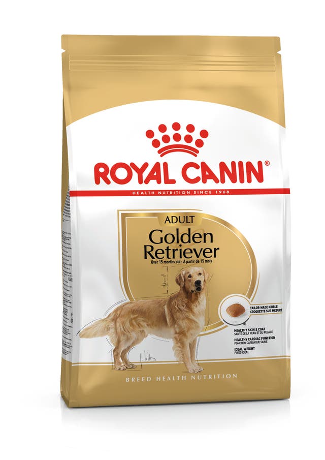 R C ADULT GOLDEN RETRIEVER 3KG