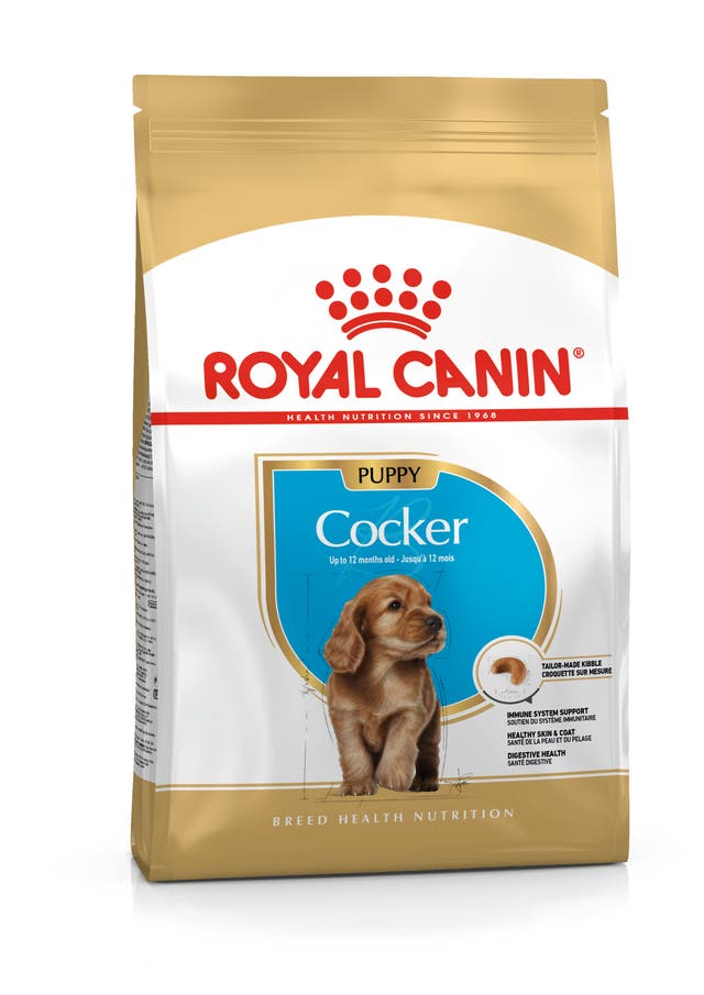 R C COCKER PUPPY 3KG