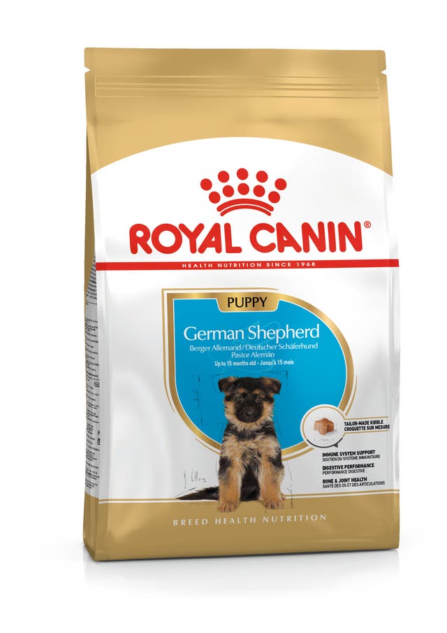 R C GERMAN SHEPHERD PUPPY 3KG