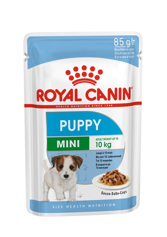 R C MINI PUPPY 12*85GM