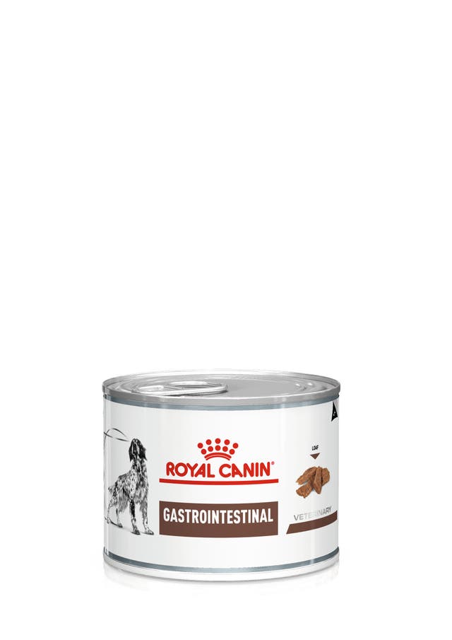 R C GASTRO INTESTINAL PUPPY