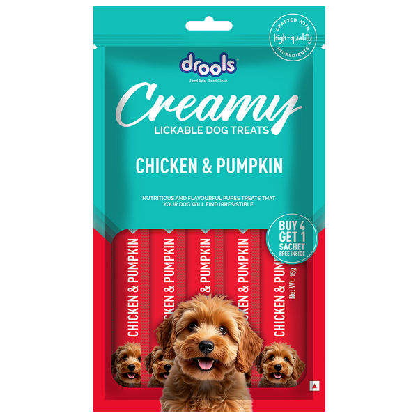 DL DOG CRM CHI&PUMPKIN