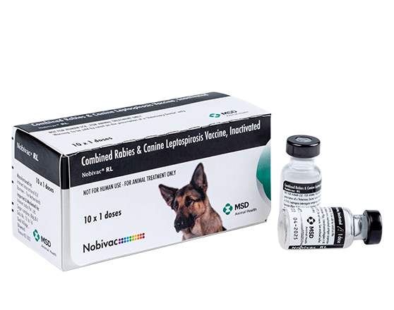 NOBIVAC RL 1DOSE