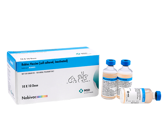 NOBIVAC RABIES 10ML