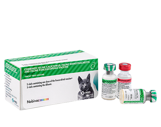 NOBIVAC TRICAT 1DOSE
