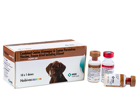 NOBIVAC PUPPY DP