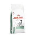 RVD DIABETIC DRY 1.5 KG