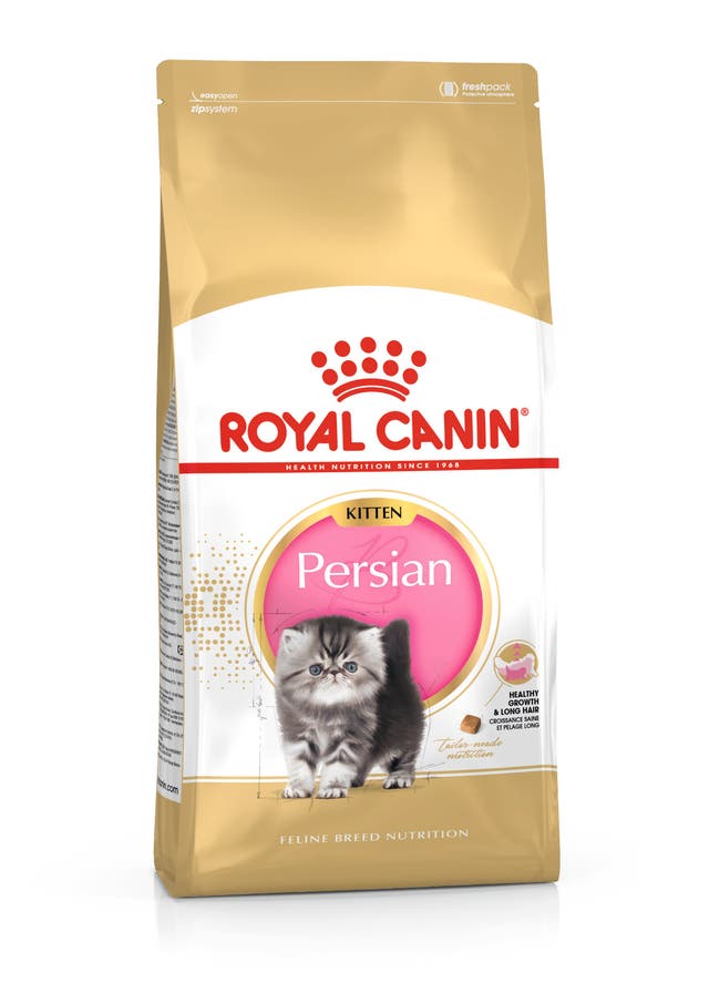 R C PERSIAN KITTEN 400GM