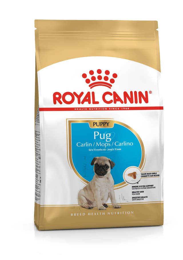 R C PUG PUPPY 1.5KG
