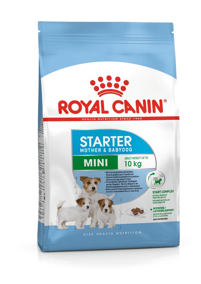 R C MINI STARTER 1KG
