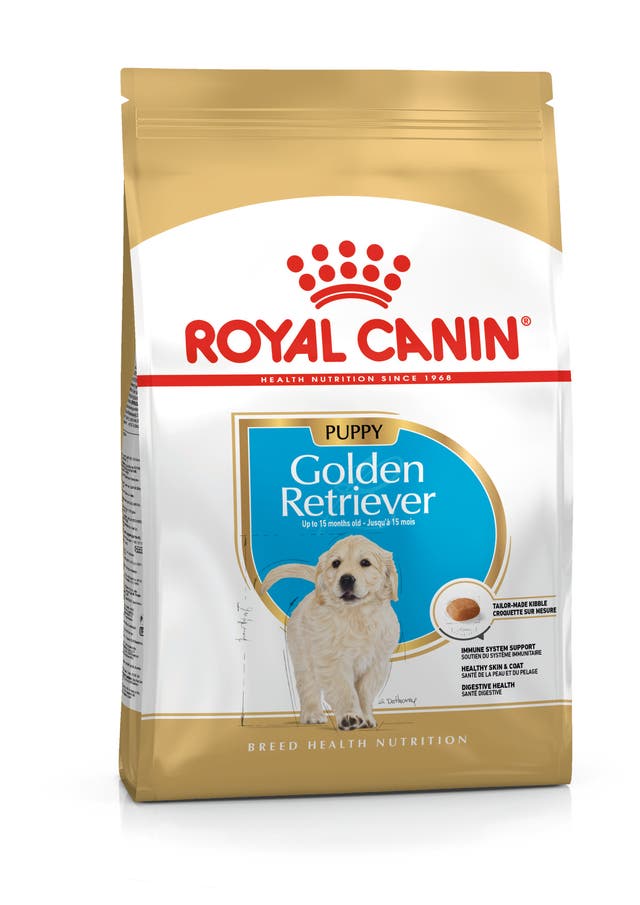 R C PUPPY GOLDEN RETRIEVER 3KG