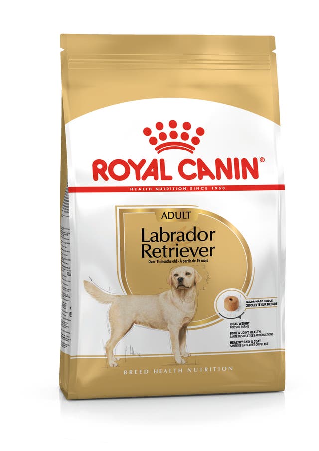 R C LABRADOR ADULT 12 KG