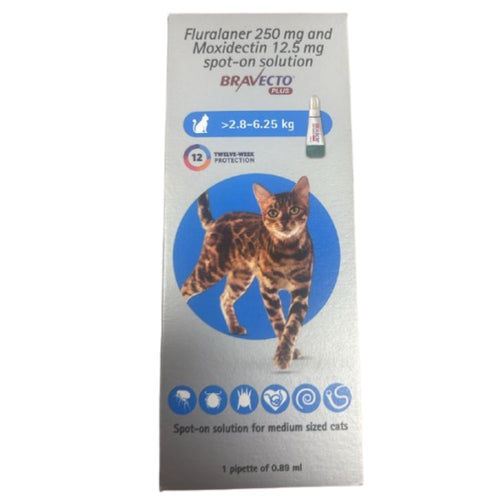 BRAVECTO PLUS CAT SPOTON 2.8 TO 6.25KG